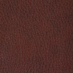 Kravet Design Sopes Garnet - Indoor Upholstery Fabric
