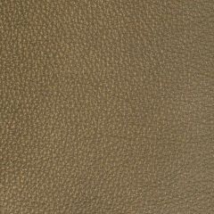 Kravet Design Sugarite Bronze - Indoor Upholstery Fabric