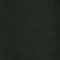 Kravet Design Tucum Black - Indoor Upholstery Fabric