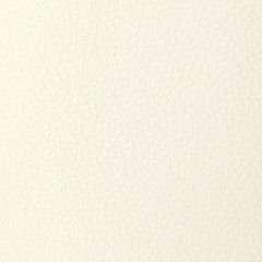 Kravet Design Tucum Blanc - Indoor Upholstery Fabric