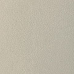 Kravet Design Tucum Dove - Indoor Upholstery Fabric