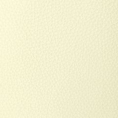 Kravet Design Tucum Ivory - Indoor Upholstery Fabric
