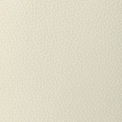 Kravet Design Tucum Oyster - Indoor Upholstery Fabric