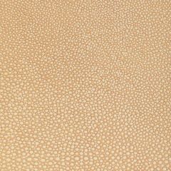 Kravet Design Whit Camel - Indoor Upholstery Fabric