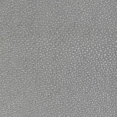 Kravet Design Whit Grey - Indoor Upholstery Fabric