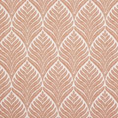 Sunbrella Linnaeus Clay 146101-0004 Upholstery Fabric