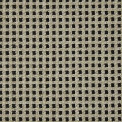 Kravet Design Bovary  Lz30336 Lizzo Indoor/Outdoor Collection Upholstery Fabric
