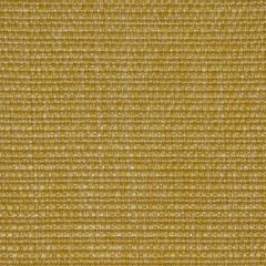 Kravet Design Camelia  Lz30346-05 Lizzo Indoor/Outdoor Collection Upholstery Fabric