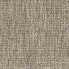 Kravet Design Camelia  Lz30346-06 Lizzo Indoor/Outdoor Collection Upholstery Fabric