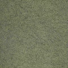 Kravet Design Gravel Lz30392-3 Lizzo Collection Drapery Fabric