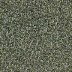 Kravet Design Magma Lz30394-3 Lizzo Collection Indoor Upholstery Fabric