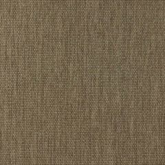 Kravet Design Blanes Lz30398-1 Lizzo Indoor/Outdoor Collection Upholstery Fabric