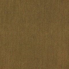 Kravet Design Blanes Lz30398-5 Lizzo Indoor/Outdoor Collection Upholstery Fabric