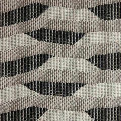 Kravet Design Escala Lz30400-9 Lizzo Indoor/Outdoor Collection Upholstery Fabric