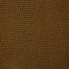Kravet Couture Gaudi 30410-08 Lizzo Collection Indoor Upholstery Fabric