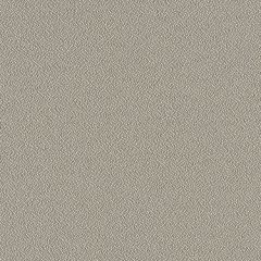 Mayer Foundation 10 Mocha 350-030 Spectrum Collection Indoor Upholstery Fabric