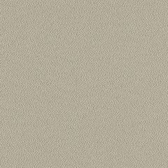 Mayer Foundation 10 Seal 350-047 Spectrum Collection Indoor Upholstery Fabric