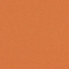 Mayer Foundation 10 Marmalade 350-049 Spectrum Collection Indoor Upholstery Fabric