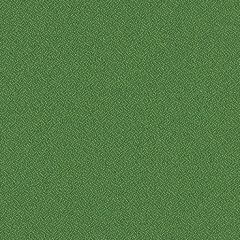 Mayer Foundation 10 Grass 350-103 Spectrum Collection Indoor Upholstery Fabric