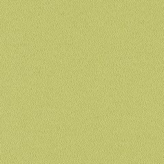 Mayer Foundation 10 Celery 350-113 Spectrum Collection Indoor Upholstery Fabric
