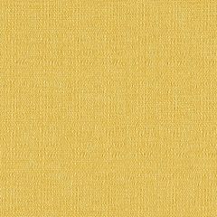 Mayer Continuum 10 Saffron 422-002 Spectrum Collection Indoor Upholstery Fabric