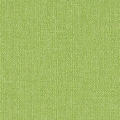 Mayer Continuum 10 Spring 422-003 Spectrum Collection Indoor Upholstery Fabric
