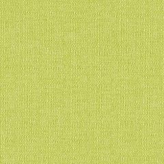 Mayer Continuum 10 Citrine 422-023 Spectrum Collection Indoor Upholstery Fabric