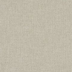 Mayer Continuum 10 Stone 422-027 Spectrum Collection Indoor Upholstery Fabric
