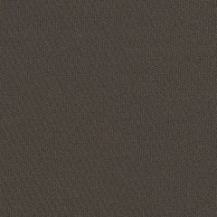 Mayer Theory 10 Espresso 423-000 Spectrum Collection Indoor Upholstery Fabric
