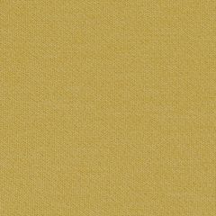 Mayer Theory 10 Banana 423-002 Spectrum Collection Indoor Upholstery Fabric