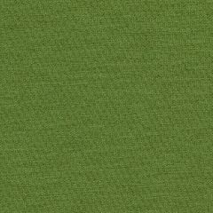Mayer Theory 10 Grass 423-003 Spectrum Collection Indoor Upholstery Fabric