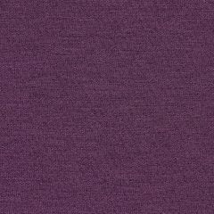 Mayer Theory 10 Aubergine 423-005 Spectrum Collection Indoor Upholstery Fabric