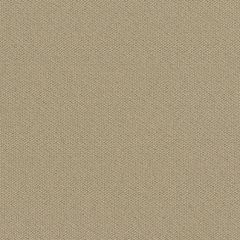 Mayer Theory 10 Cafe au Lait 423-007 Spectrum Collection Indoor Upholstery Fabric