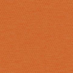 Mayer Theory 10 Mango 423-009 Spectrum Collection Indoor Upholstery Fabric