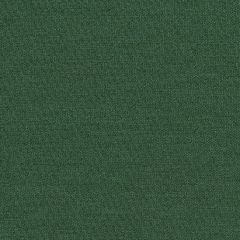 Mayer Theory 10 Evergreen 423-013 Spectrum Collection Indoor Upholstery Fabric