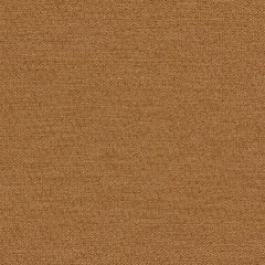 Mayer Theory 10 Tobacco 423-019 Spectrum Collection Indoor Upholstery Fabric