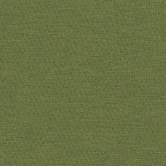 Mayer Theory 10 Grove 423-023 Spectrum Collection Indoor Upholstery Fabric