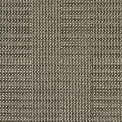 Mayer Optic 10 Brown Bear 424-000 Spectrum Collection Indoor Upholstery Fabric