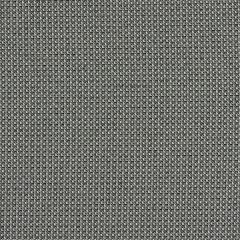 Mayer Optic 10 Ash 424-006 Spectrum Collection Indoor Upholstery Fabric