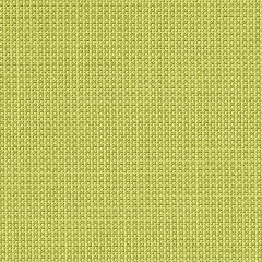 Mayer Optic 10 Green Apple 424-013 Spectrum Collection Indoor Upholstery Fabric