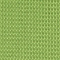 Mayer Optic 10 Springtime 424-023 Spectrum Collection Indoor Upholstery Fabric
