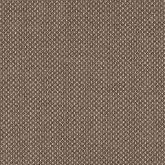 Mayer Variant 10 Chocolate 425-000 Spectrum Collection Indoor Upholstery Fabric
