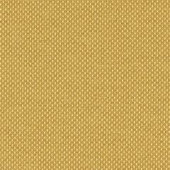 Mayer Variant 10 Mustard 425-002 Spectrum Collection Indoor Upholstery Fabric