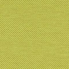 Mayer Variant 10 Palm 425-003 Spectrum Collection Indoor Upholstery Fabric
