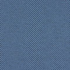 Mayer Variant 10 Ink 425-004 Spectrum Collection Indoor Upholstery Fabric