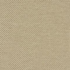 Mayer Variant 10 Cocoa 425-010 Spectrum Collection Indoor Upholstery Fabric
