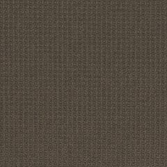 Mayer Prism 10 Espresso 426-000 Spectrum Collection Indoor Upholstery Fabric