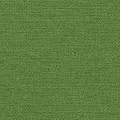 Mayer Prism 10 Kale 426-003 Spectrum Collection Indoor Upholstery Fabric