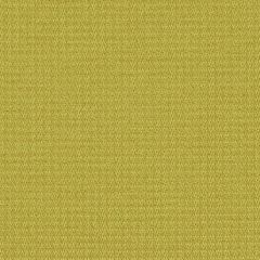 Mayer Prism 10 Olive 426-013 Spectrum Collection Indoor Upholstery Fabric