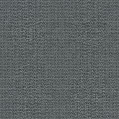 Mayer Prism 10 Charcoal 426-016 Spectrum Collection Indoor Upholstery Fabric
